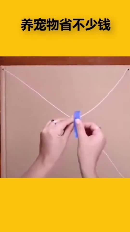 拿衣架給寵物改裝帳篷,學(xué)會(huì)了這招之后,養(yǎng)寵物省下不少錢
