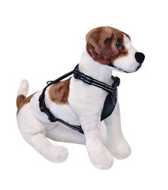 2016年這些寵物用品最好用,鏟屎官們?cè)趺纯? class=