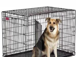 圖 個(gè)人 9成新美國中西低碳鋼狗窩300轉(zhuǎn)讓 深圳寵物食品 用品